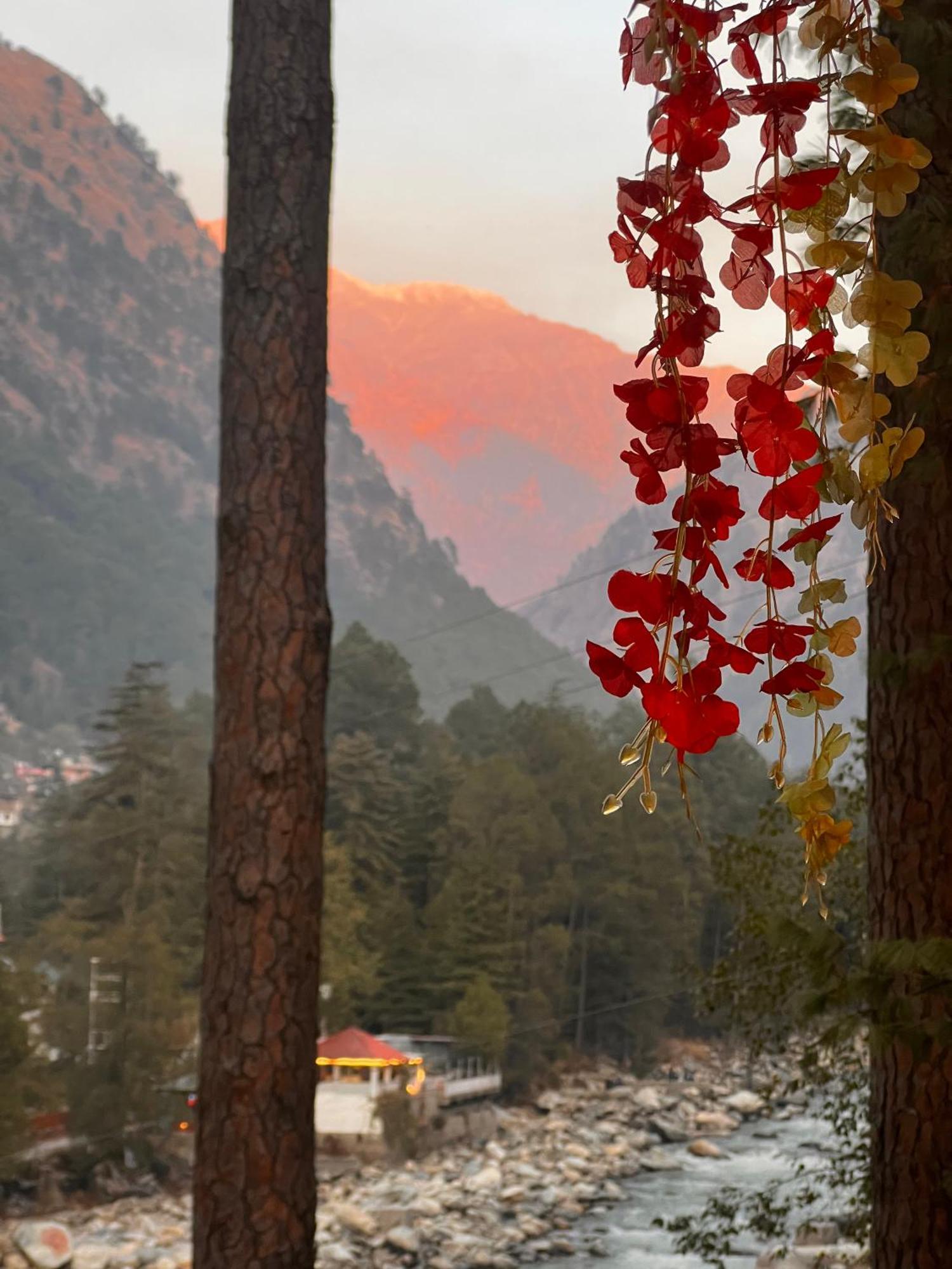 Ahava Kasol Riverside Cafe And Cottages Luaran gambar